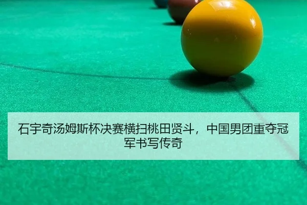 shi-yu-qi-tang-mu-si-bei-jue-sai-heng-sao-tao-tian-xian-dou-zhong-guo-nan-tuan-zhong-duo-guan-jun-shu-xie-chuan-qi-2-762.jpg